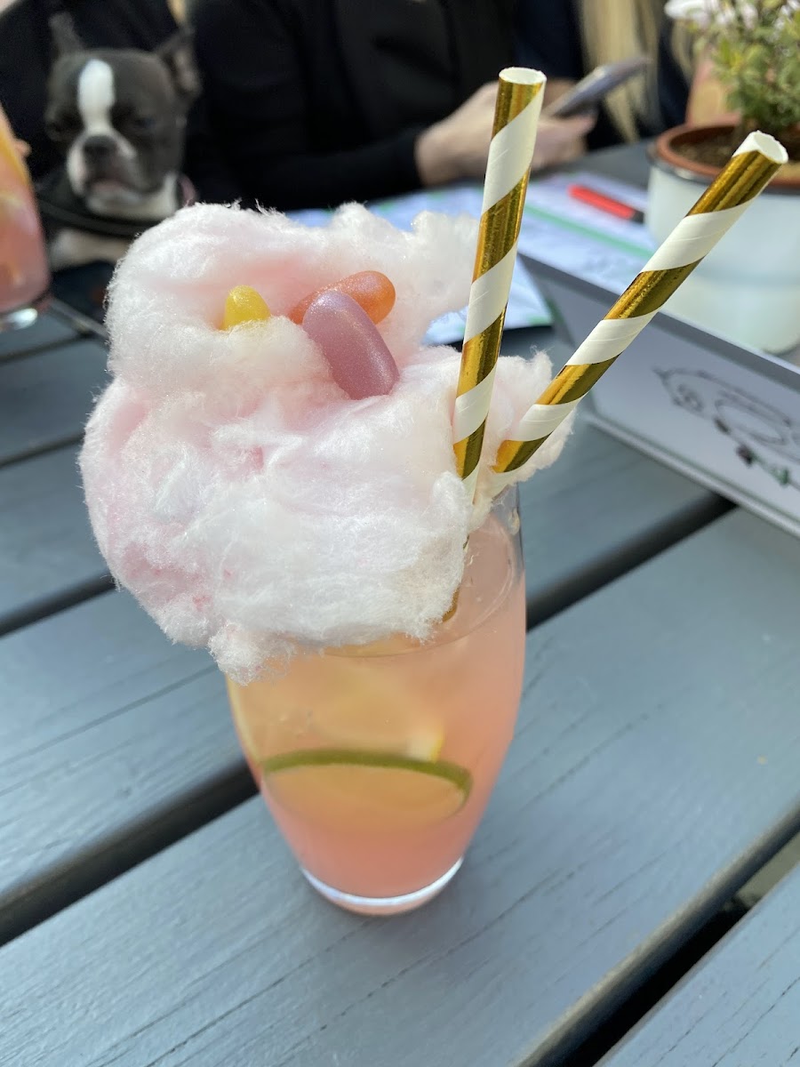 Dil And The Bear At The Station-5